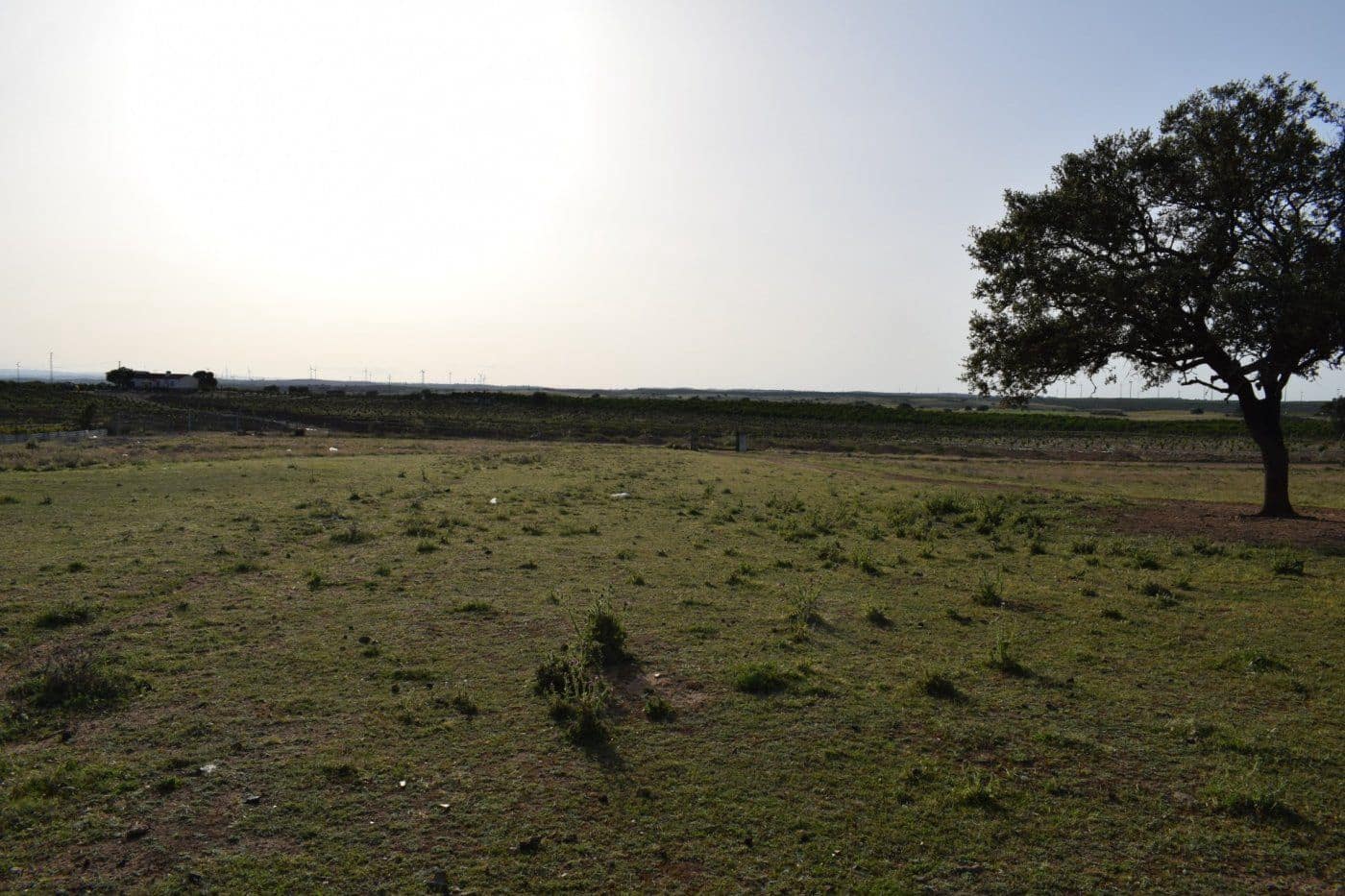 Mark till salu i Villablanca - 49 990 € (Ref: 7905684)