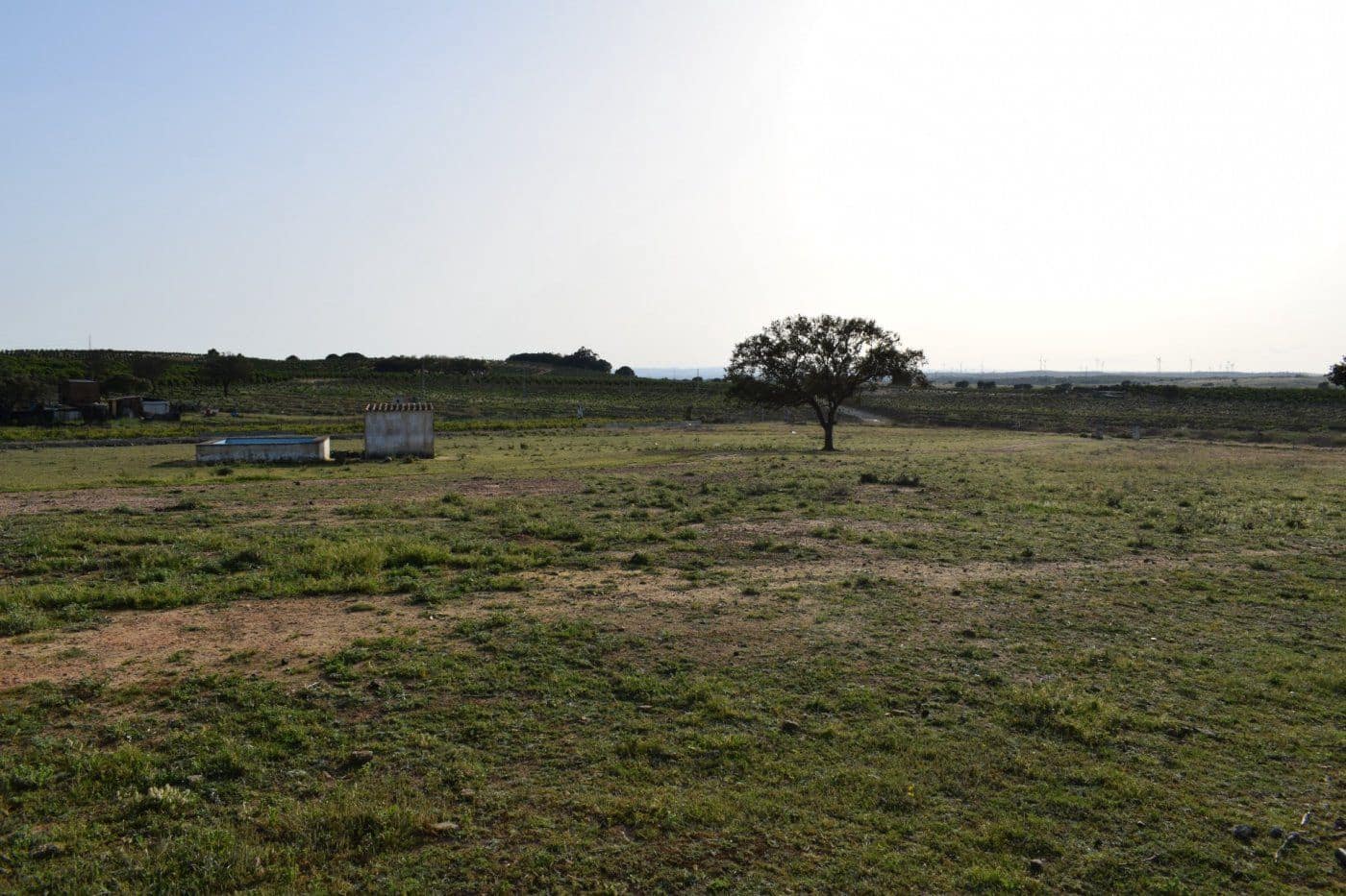 Mark till salu i Villablanca - 49 990 € (Ref: 7905684)