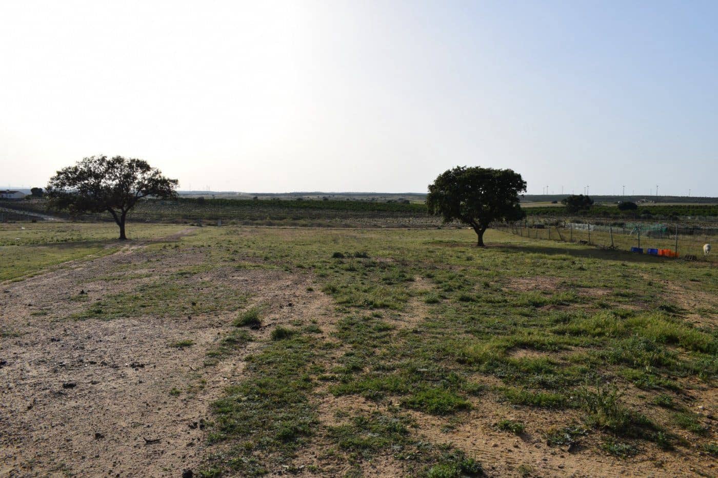 Mark till salu i Villablanca - 49 990 € (Ref: 7905684)