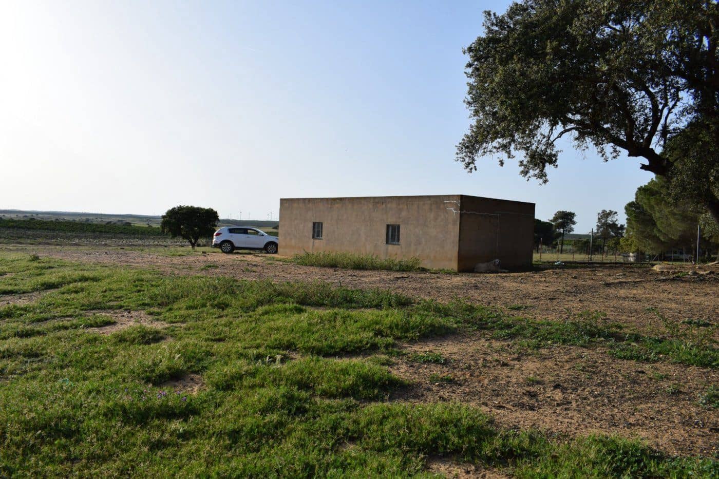 Mark till salu i Villablanca - 49 990 € (Ref: 7905684)