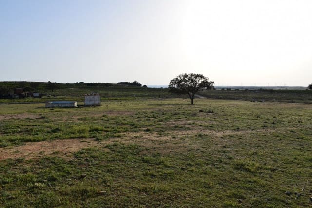 Finca/Landehus til salg i Villablanca - € 44.990 (Ref: 7905684)