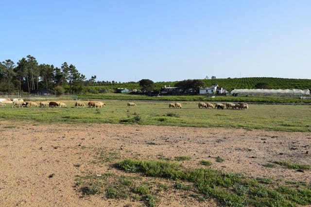 Finca/Landehus til salg i Villablanca - € 44.990 (Ref: 7905684)