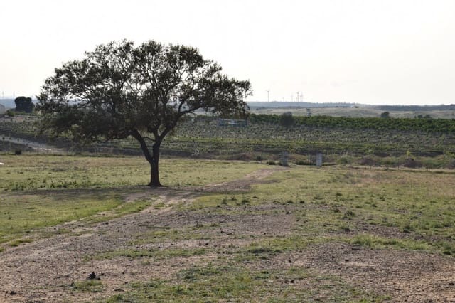Finca/Maison de Campagne à vendre à Villablanca - 44 990 € (Ref: 7905684)