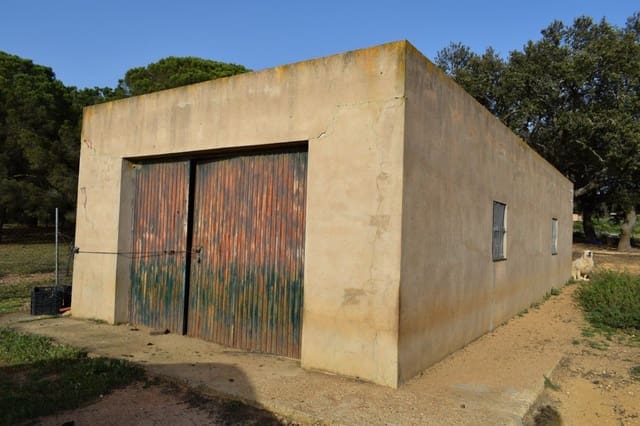Finca/Maison de Campagne à vendre à Villablanca - 44 990 € (Ref: 7905684)