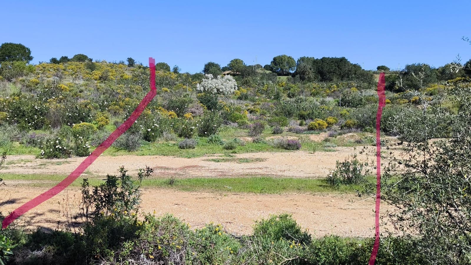 Terrain à Bâtir à vendre à Ayamonte - 67 500 € (Ref: 8139129)