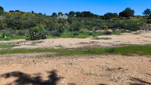 Byggegrund til salg i Ayamonte - € 67.500 (Ref: 8139129)