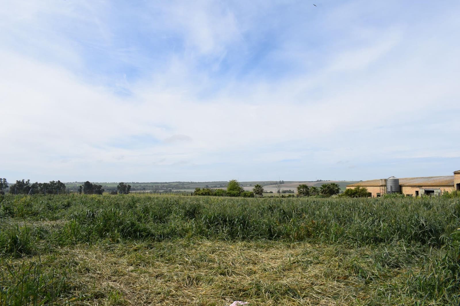 3 soveværelse Byhus til salg i Carrion de los Cespedes - € 250.000 (Ref: 8197696)