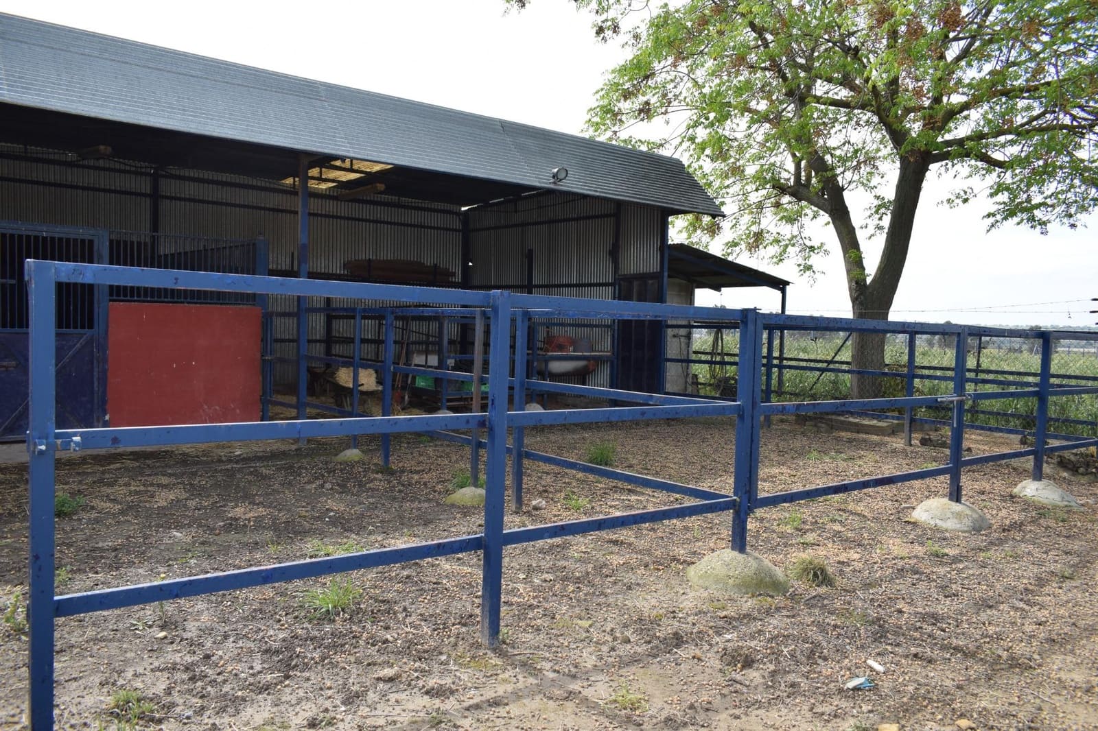 3 soveværelse Byhus til salg i Carrion de los Cespedes - € 250.000 (Ref: 8197696)