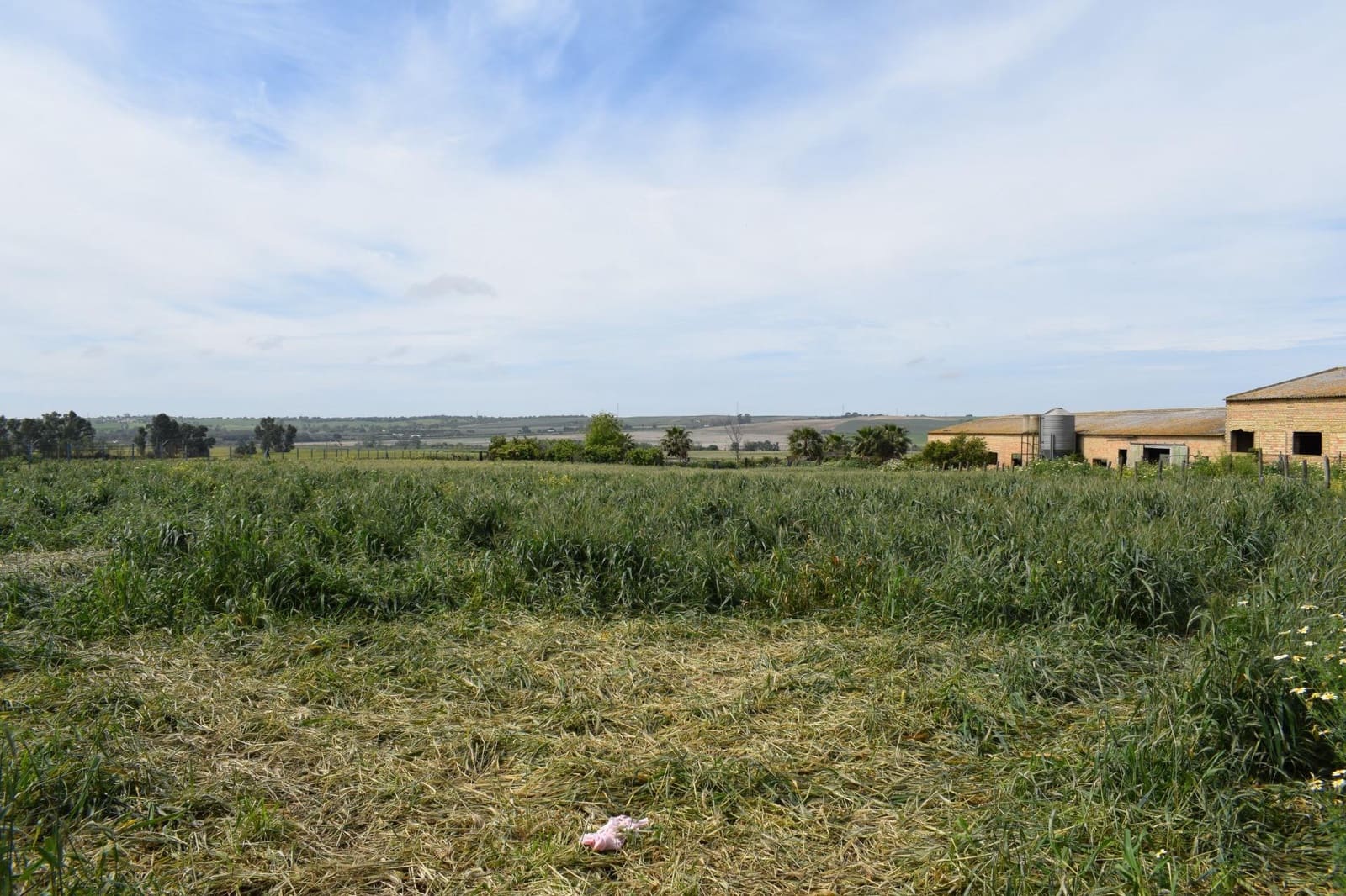 3 soveværelse Byhus til salg i Carrion de los Cespedes - € 250.000 (Ref: 8197696)