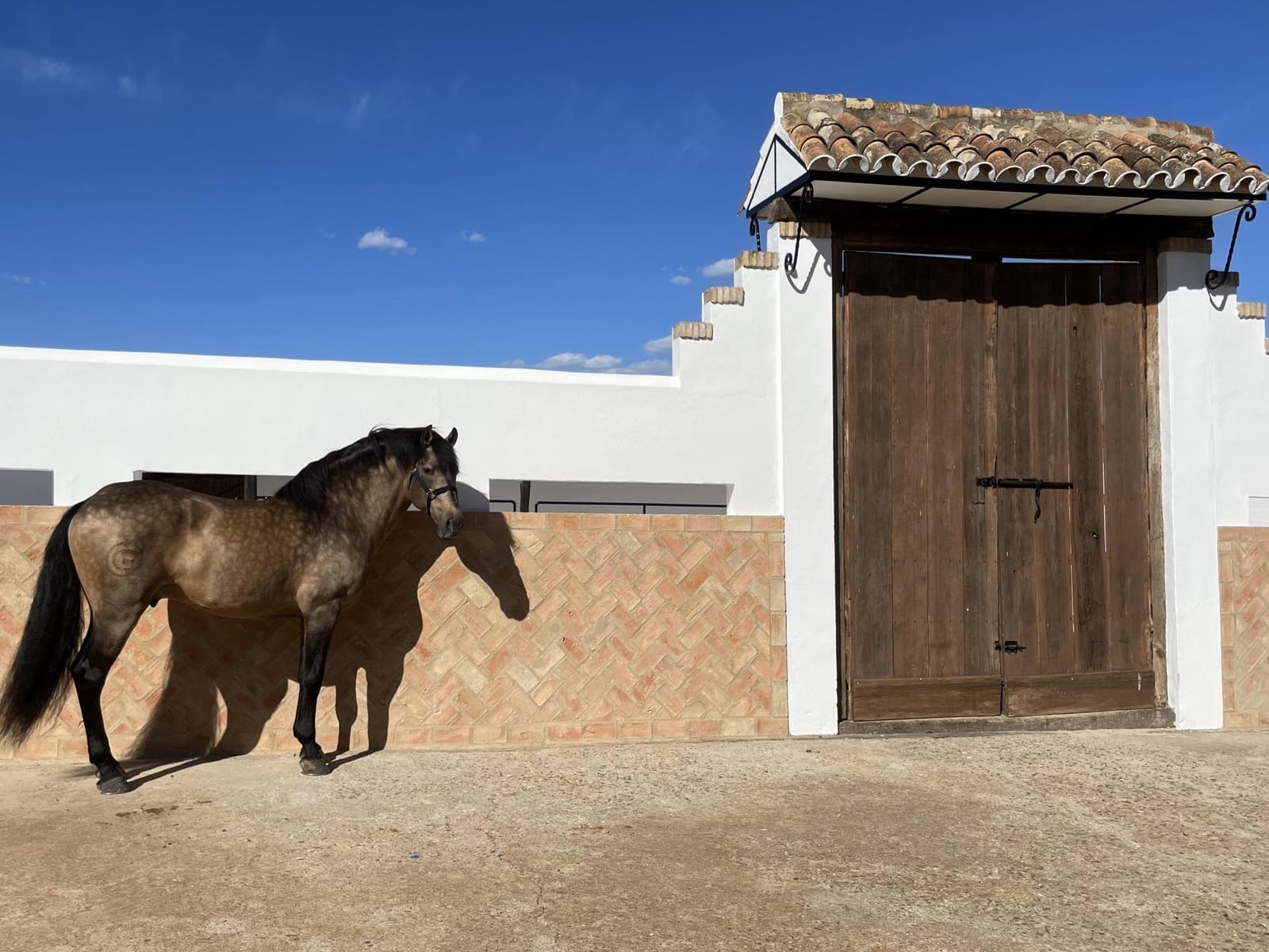 6 soveværelse Finca/Landehus til salg i Paterna del Campo - € 1.290.000 (Ref: 8392329)