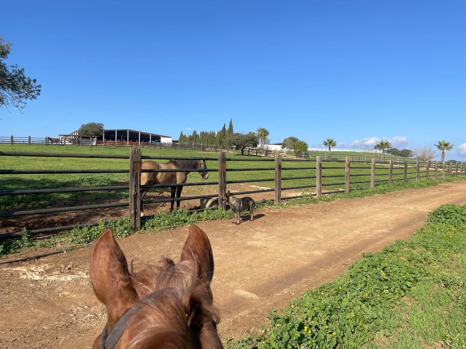 6 soveværelse Finca/Landehus til salg i Paterna del Campo - € 1.290.000 (Ref: 8392329)