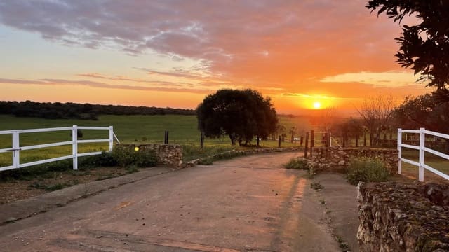 6 soveværelse Finca/Landehus til salg i Paterna del Campo - € 1.290.000 (Ref: 8392329)