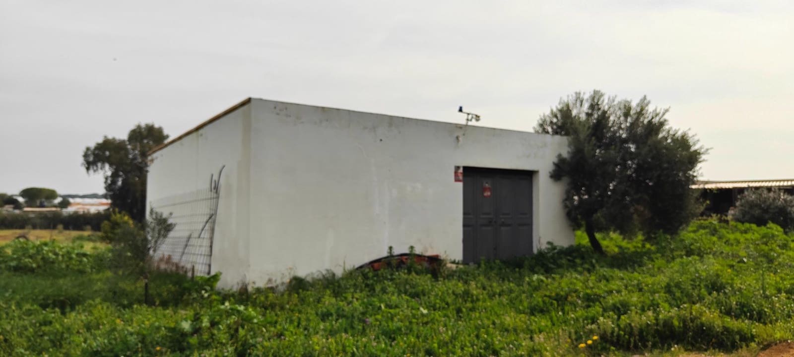 3 soveværelse Finca/Landehus til salg i Gibraleon med swimmingpool - € 295.000 (Ref: 8836677)