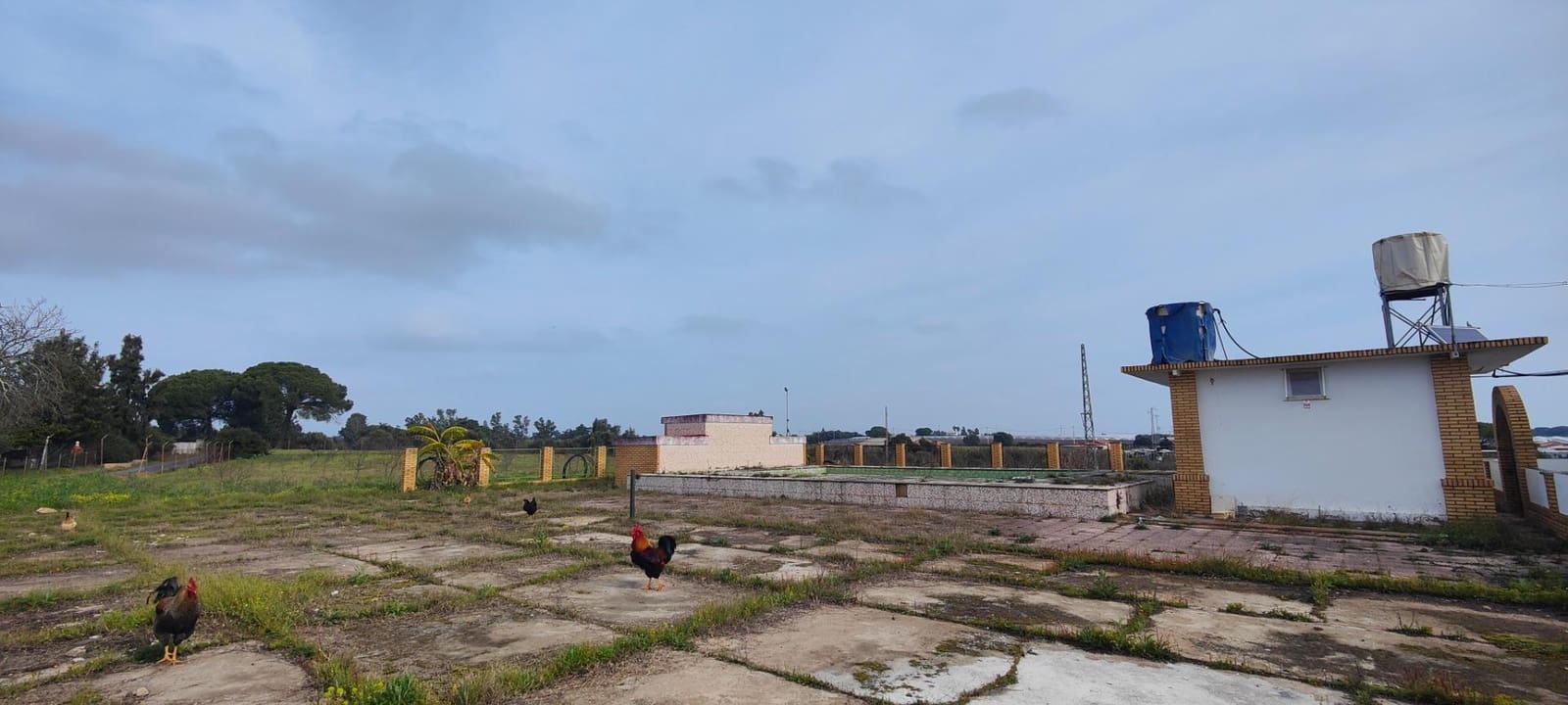 3 soveværelse Finca/Landehus til salg i Gibraleon med swimmingpool - € 295.000 (Ref: 8836677)