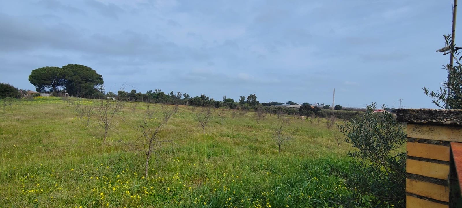 3 soveværelse Finca/Landehus til salg i Gibraleon med swimmingpool - € 295.000 (Ref: 8836677)