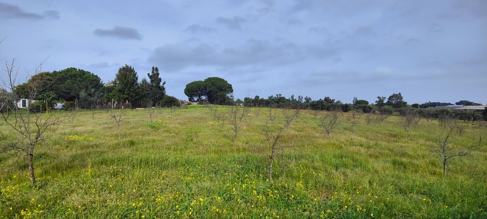 3 soveværelse Finca/Landehus til salg i Gibraleon med swimmingpool - € 295.000 (Ref: 8836677)