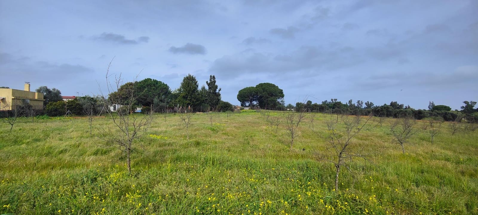 3 soveværelse Finca/Landehus til salg i Gibraleon med swimmingpool - € 295.000 (Ref: 8836677)