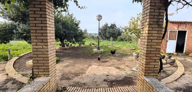 3 chambre Finca/Maison de Campagne à vendre à Gibraleón avec piscine - 260 000 € (Ref: 8836677)