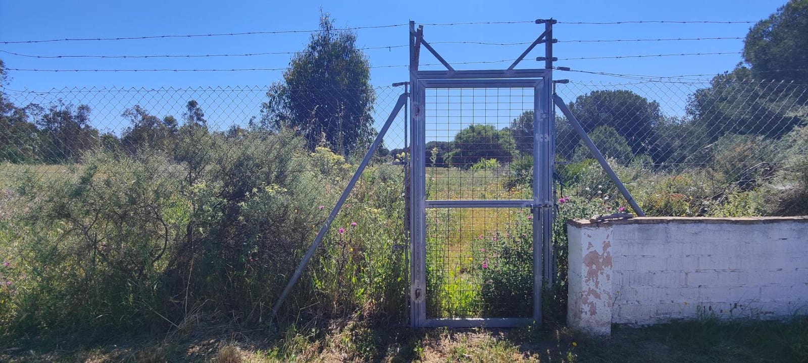 3 soveværelse Finca/Landehus til salg i Lucena del Puerto med swimmingpool - € 129.990 (Ref: 8961715)