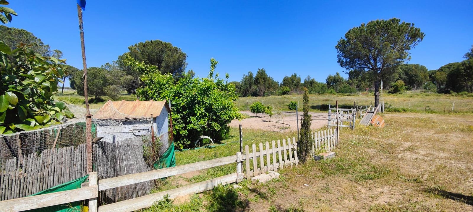 3 soveværelse Finca/Landehus til salg i Lucena del Puerto med swimmingpool - € 129.990 (Ref: 8961715)