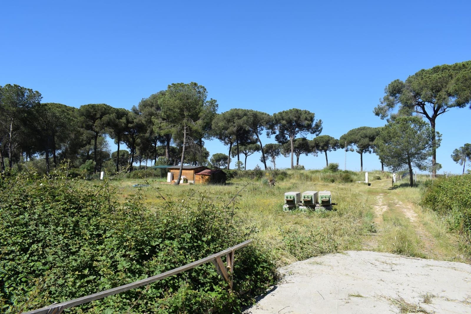 3 soveværelse Finca/Landehus til salg i Lucena del Puerto med swimmingpool - € 129.990 (Ref: 8961715)