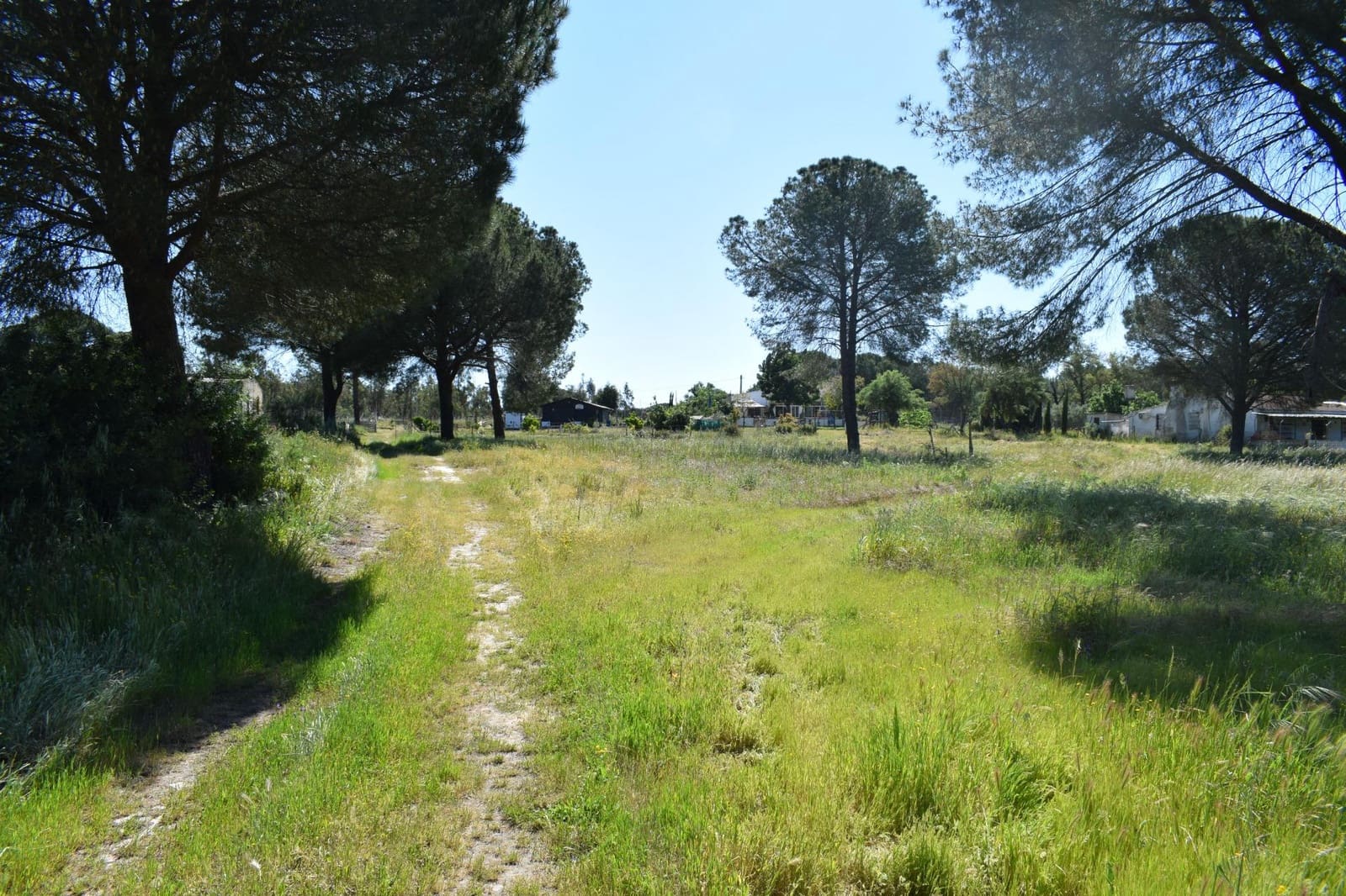 3 soveværelse Finca/Landehus til salg i Lucena del Puerto med swimmingpool - € 129.990 (Ref: 8961715)