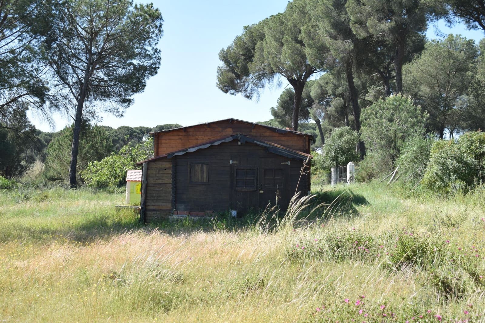 3 soveværelse Finca/Landehus til salg i Lucena del Puerto med swimmingpool - € 129.990 (Ref: 8961715)