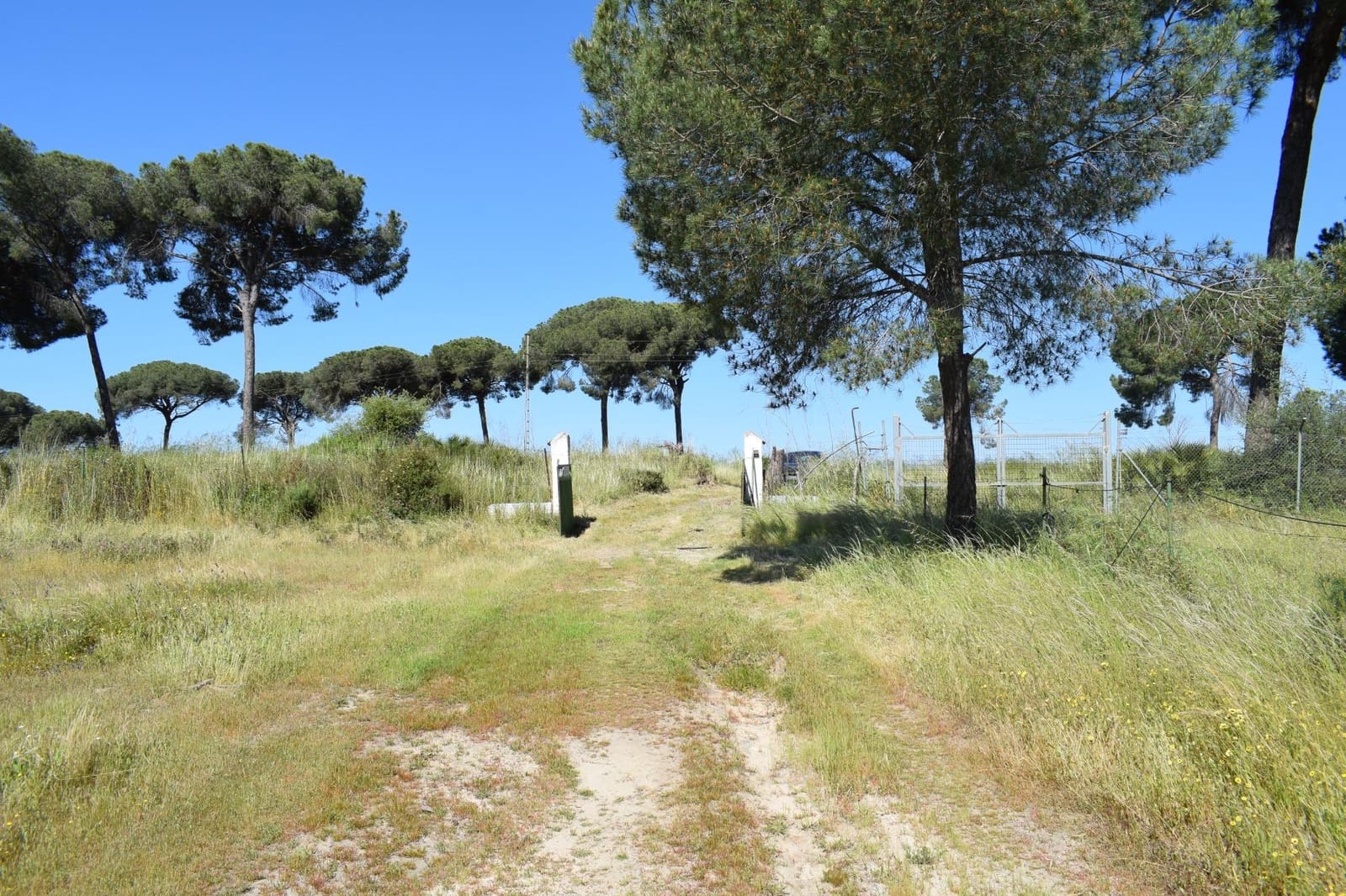 3 soveværelse Finca/Landehus til salg i Lucena del Puerto med swimmingpool - € 129.990 (Ref: 8961715)