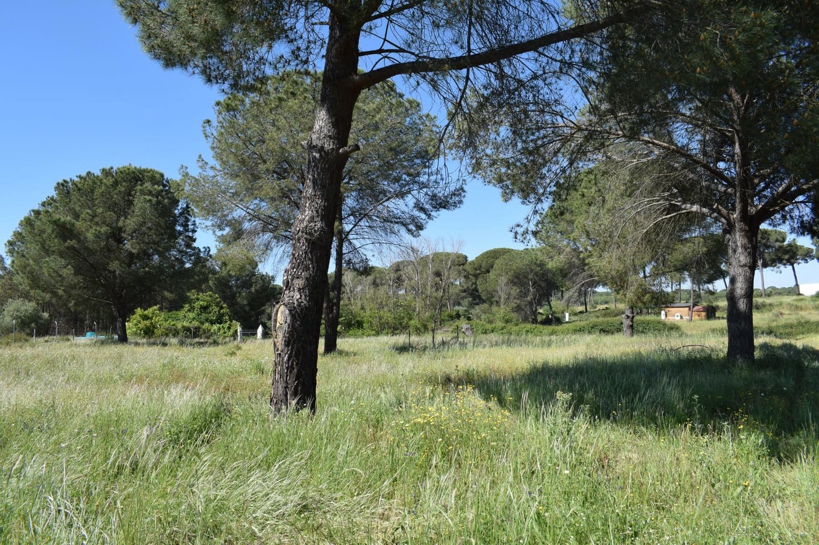 3 soveværelse Finca/Landehus til salg i Lucena del Puerto med swimmingpool - € 129.990 (Ref: 8961715)