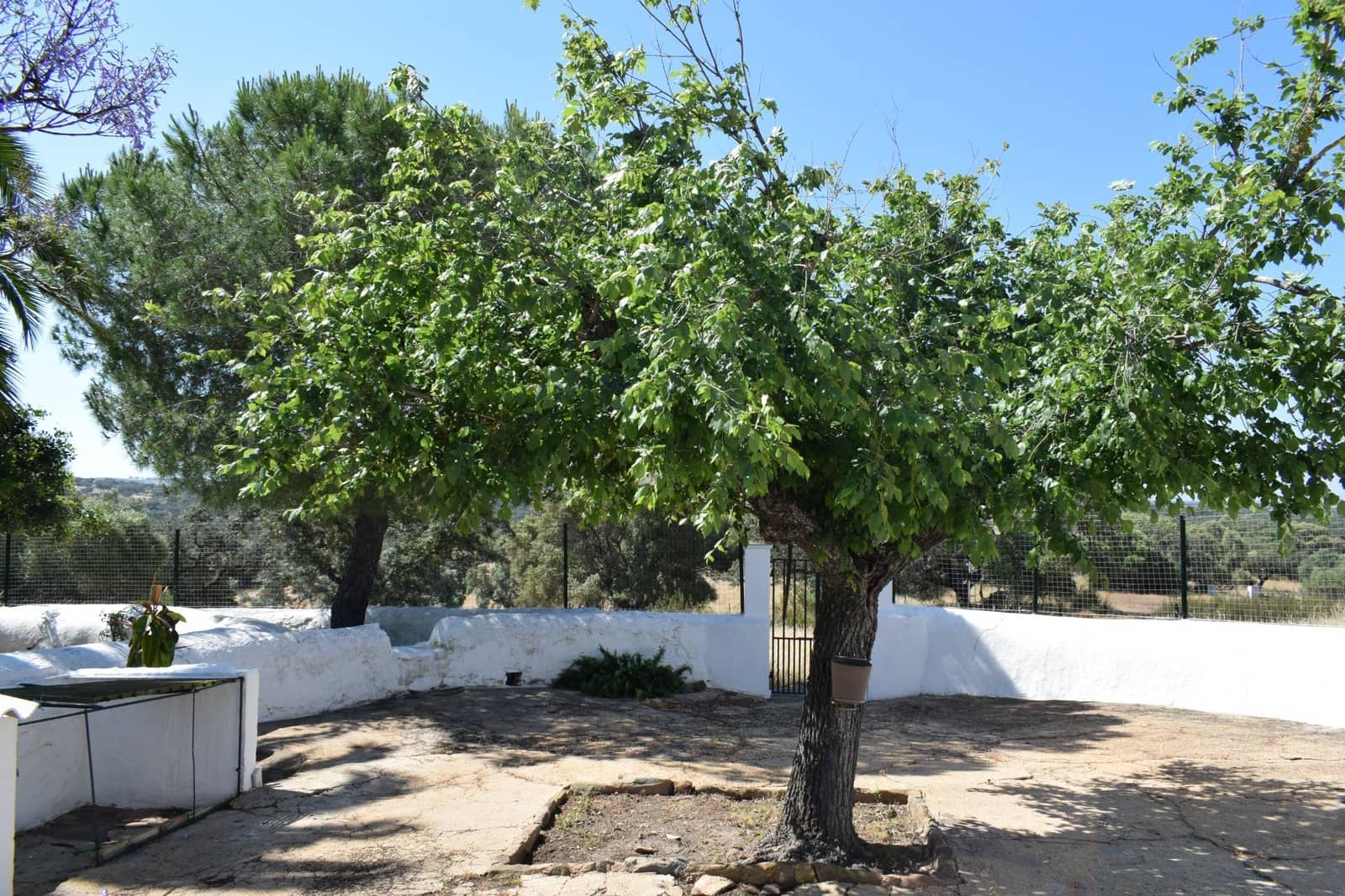 7 sypialnia Finka/Dom wiejski na sprzedaż w Villanueva de los Castillejos - 1 350 000 € (Ref: 9008160)