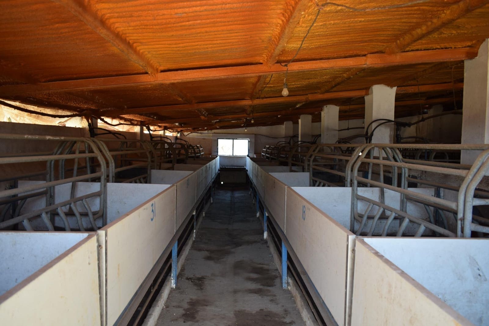 7 sypialnia Finka/Dom wiejski na sprzedaż w Villanueva de los Castillejos - 1 350 000 € (Ref: 9008160)