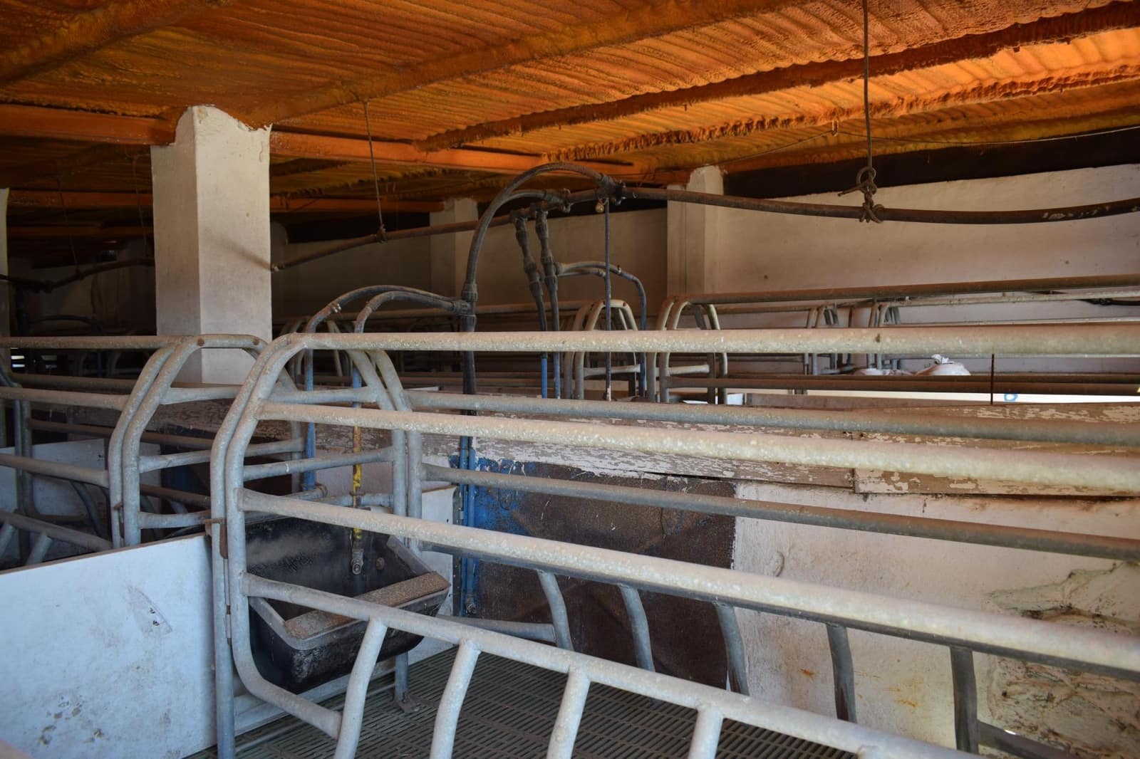 7 sypialnia Finka/Dom wiejski na sprzedaż w Villanueva de los Castillejos - 1 350 000 € (Ref: 9008160)