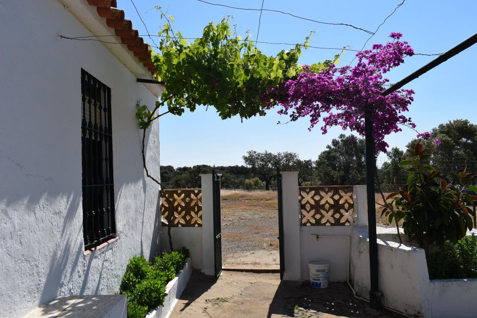 7 sypialnia Finka/Dom wiejski na sprzedaż w Villanueva de los Castillejos - 1 350 000 € (Ref: 9008160)