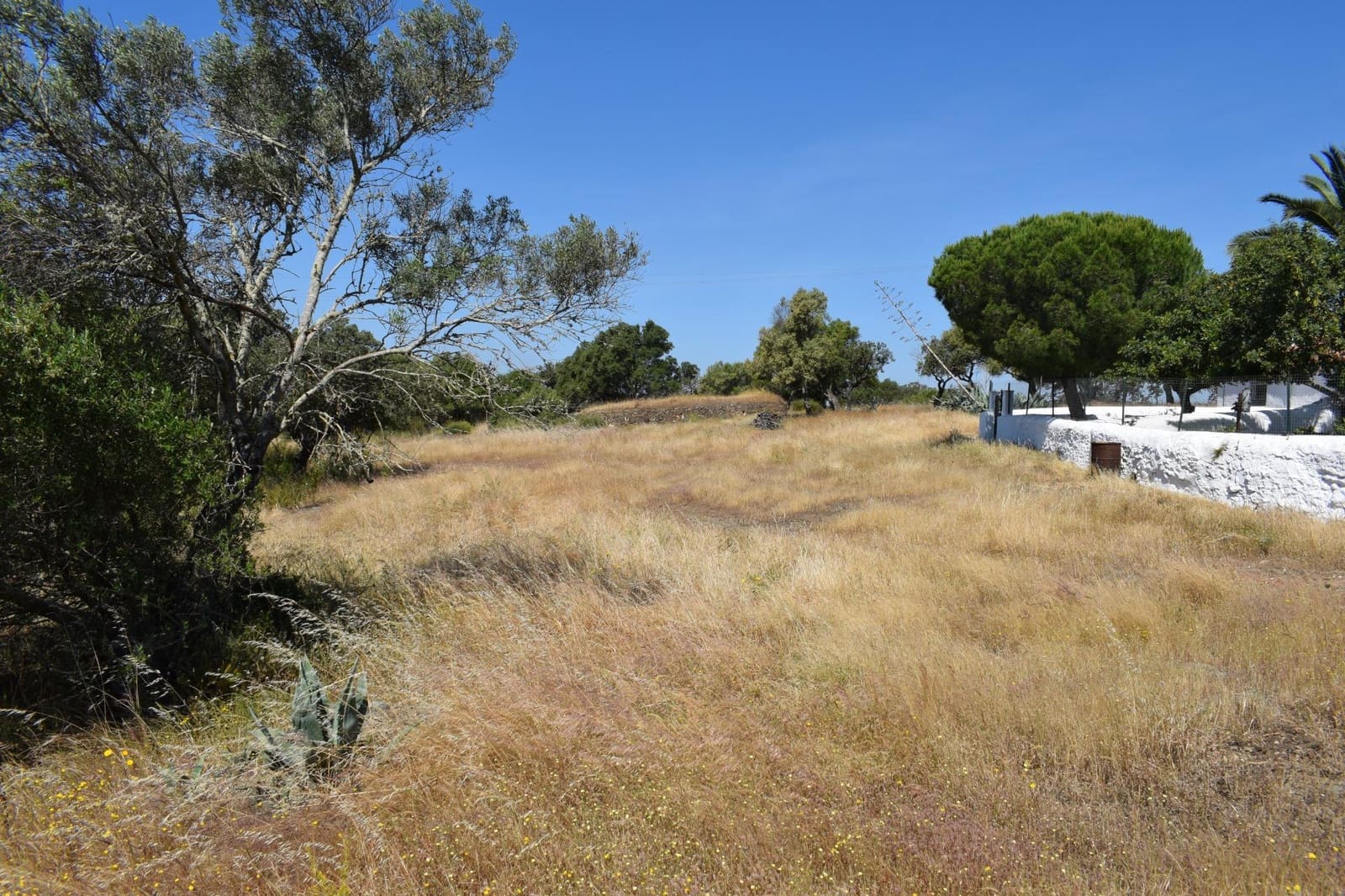 7 soverom Finca/Herregård til salgs i Villanueva de los Castillejos - € 1 350 000 (Ref: 9008160)