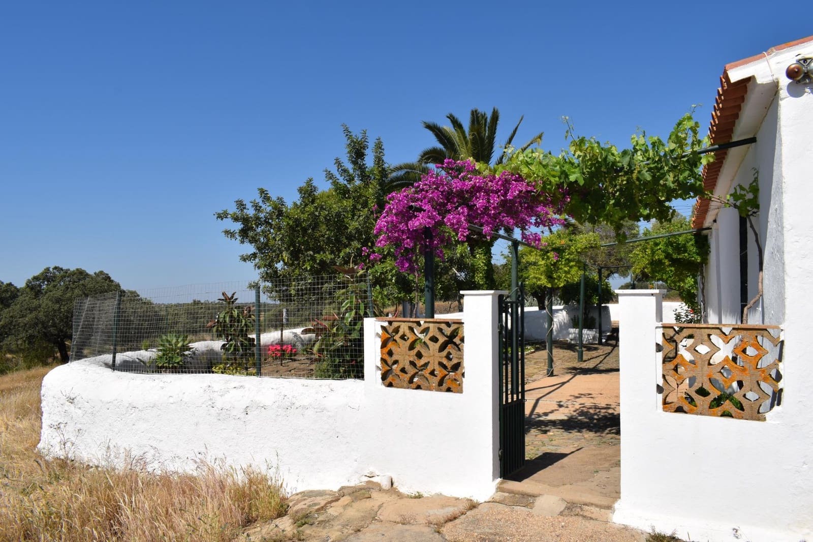 7 soverom Finca/Herregård til salgs i Villanueva de los Castillejos - € 1 350 000 (Ref: 9008160)