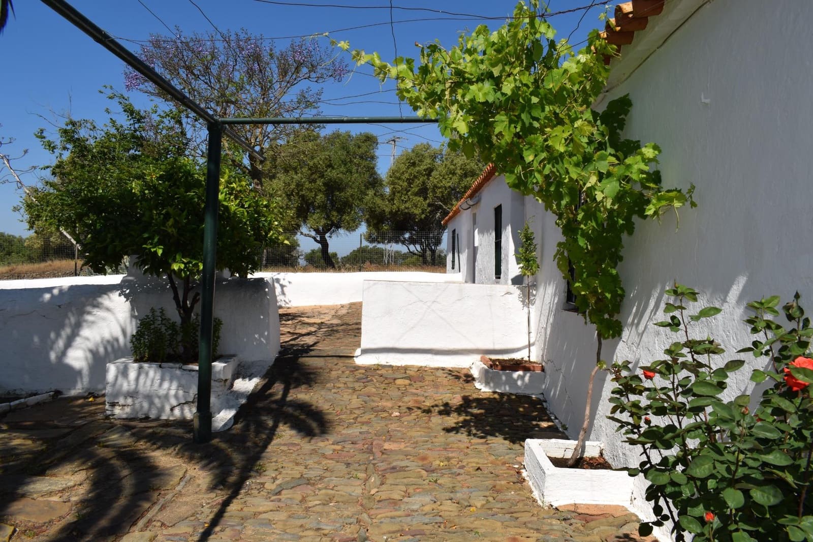 7 soverom Finca/Herregård til salgs i Villanueva de los Castillejos - € 1 350 000 (Ref: 9008160)