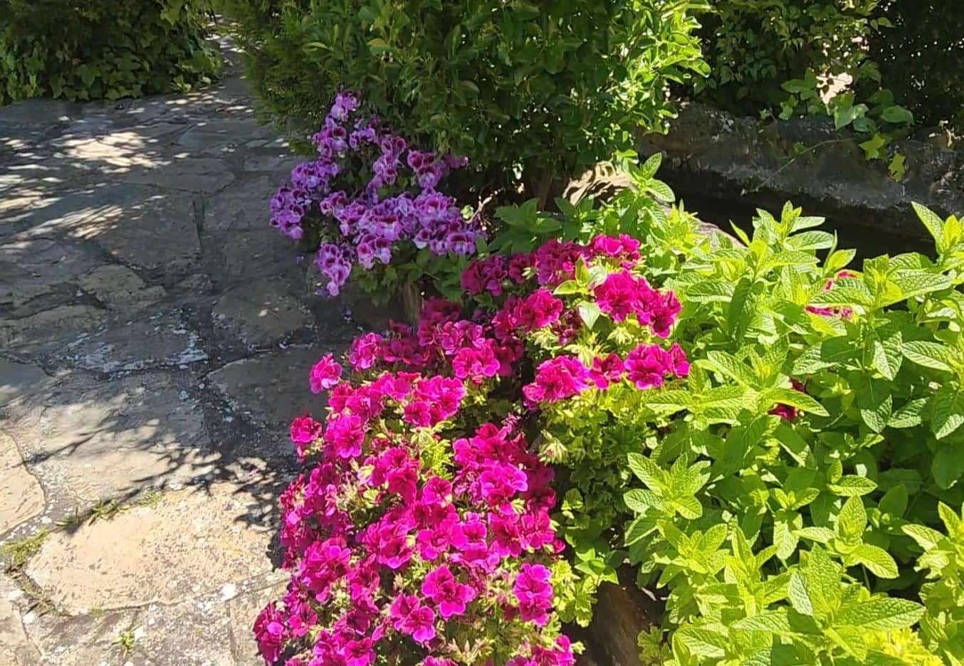 8 bedroom Finca/Country House for sale in Zafra with pool - € 1,140,000 (Ref: 9029659)