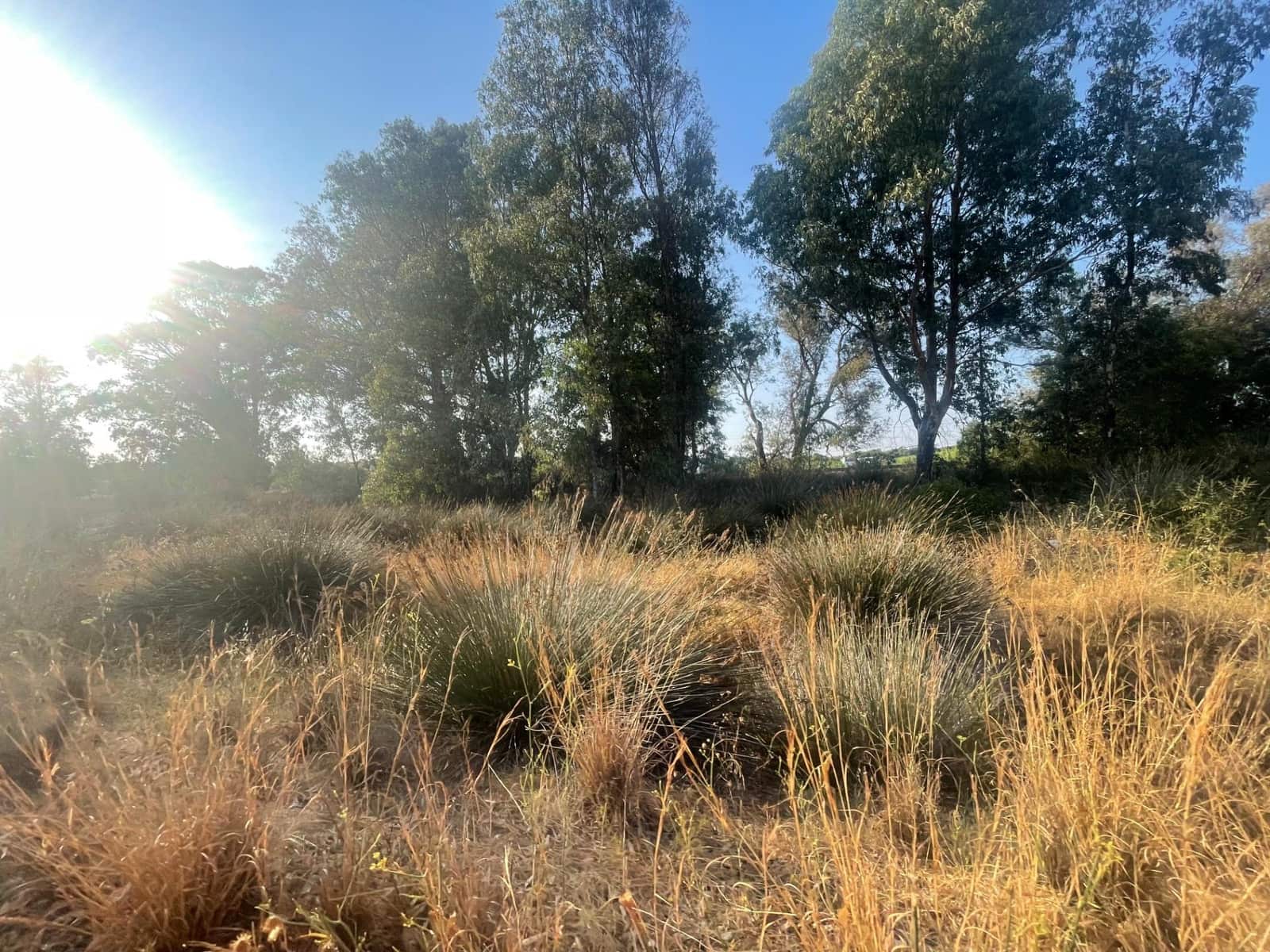 3 makuuhuone Maalaistalo myytävänä paikassa Ayamonte - 140 000 € (Ref: 9163924)