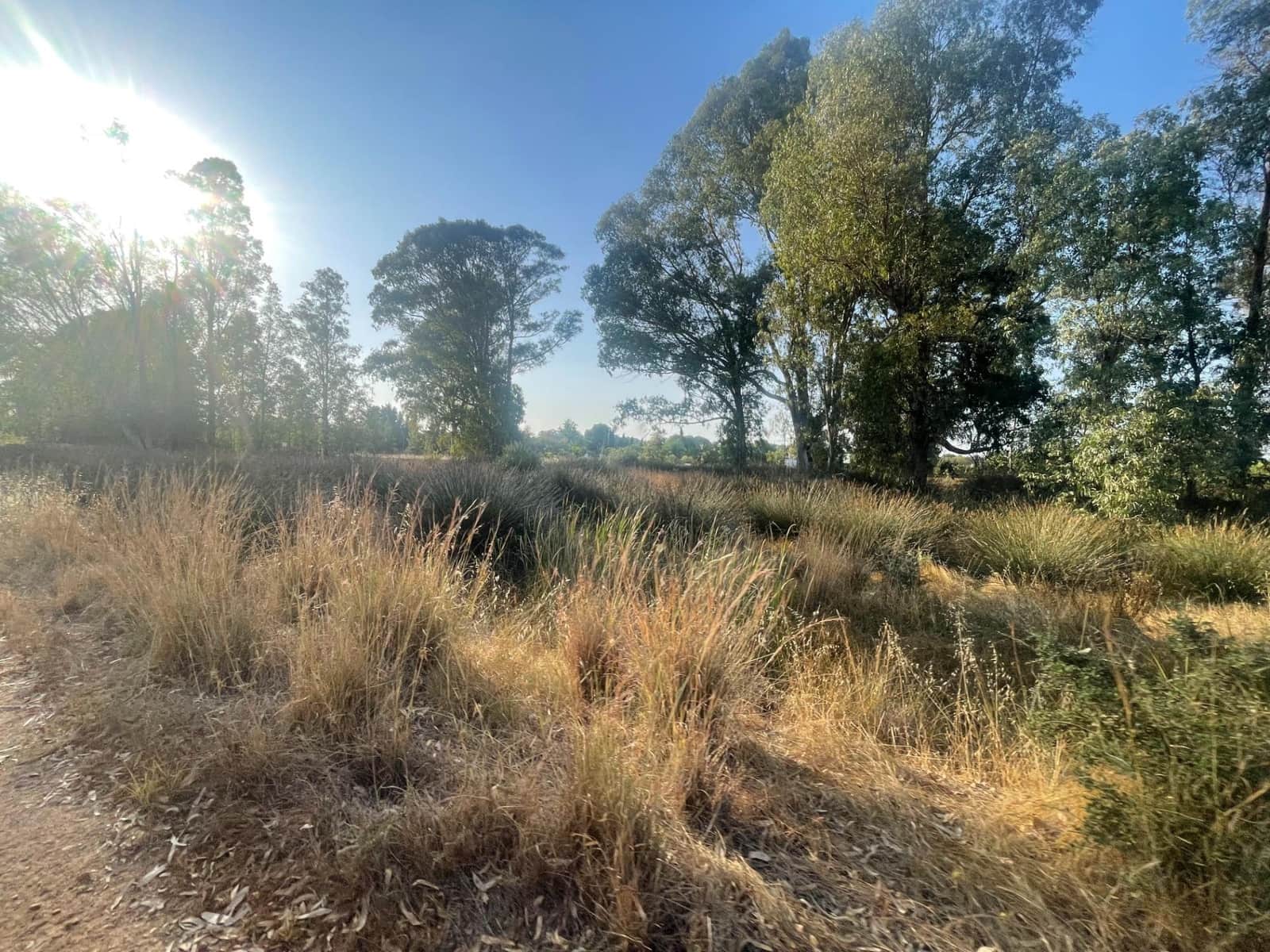 3 makuuhuone Maalaistalo myytävänä paikassa Ayamonte - 140 000 € (Ref: 9163924)