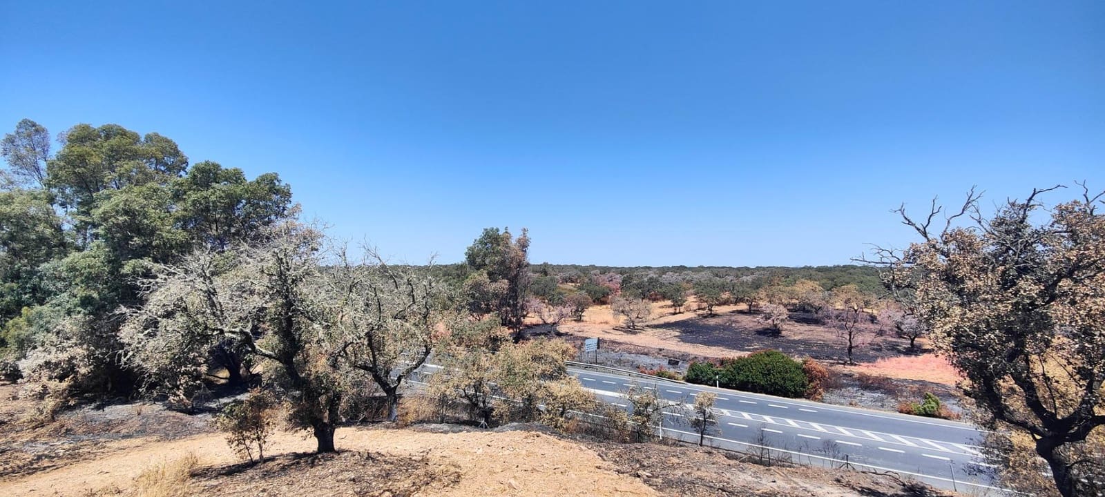 3 soveværelse Finca/Landehus til salg i San Bartolome de la Torre - € 200.000 (Ref: 9185535)