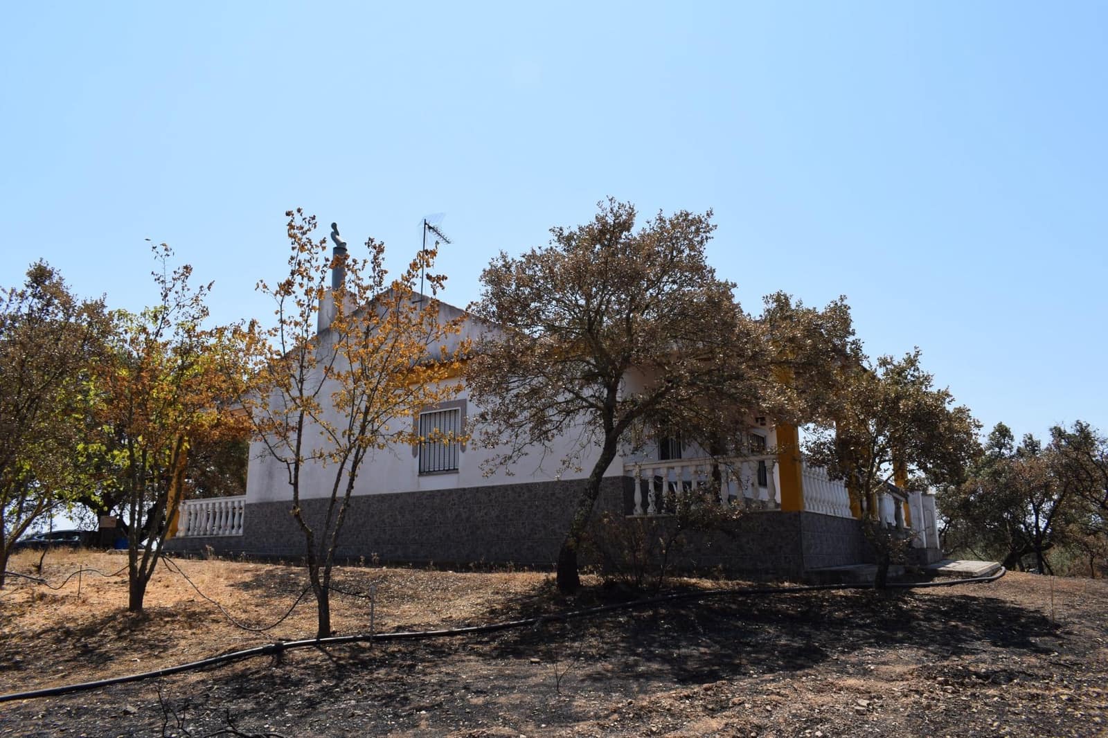 3 soveværelse Finca/Landehus til salg i San Bartolome de la Torre - € 200.000 (Ref: 9185535)