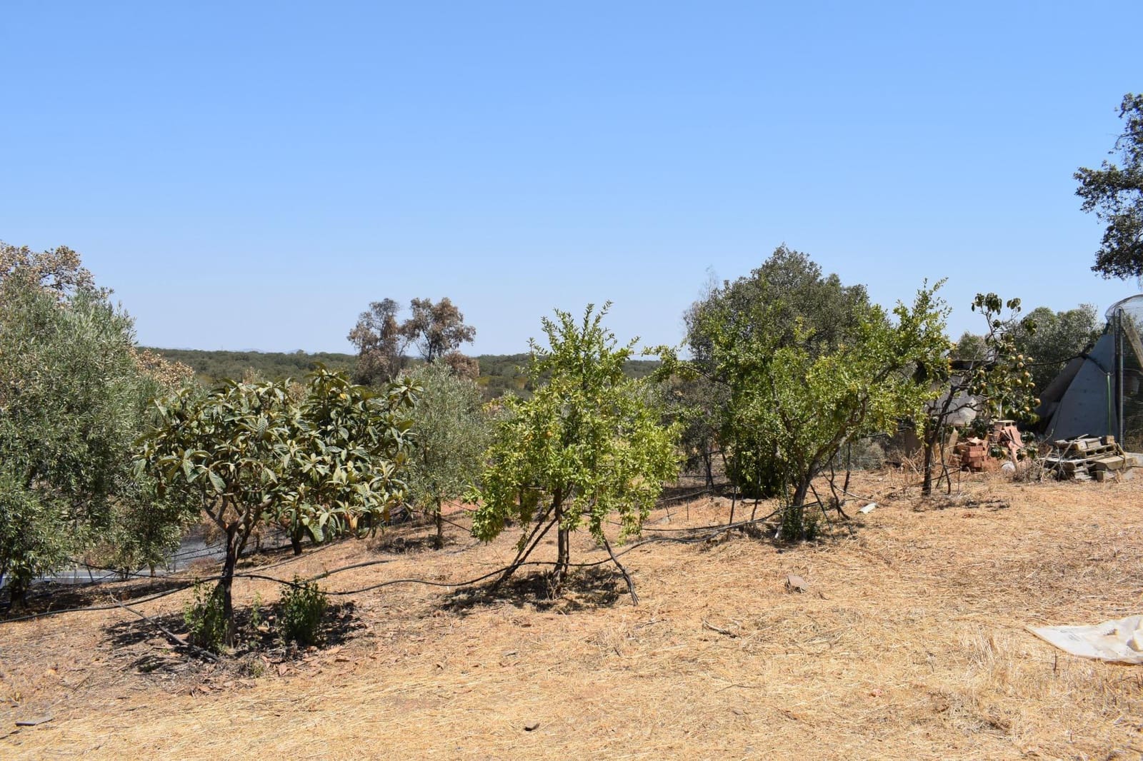 3 soveværelse Finca/Landehus til salg i San Bartolome de la Torre - € 200.000 (Ref: 9185535)