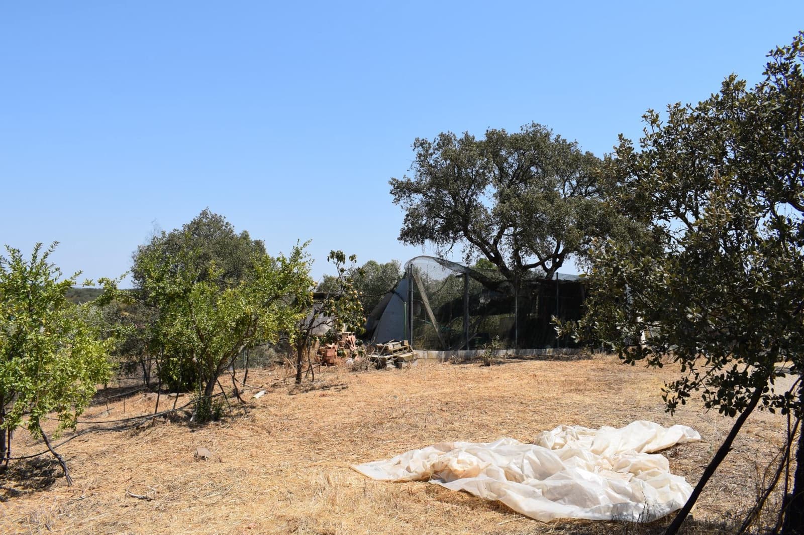 3 soveværelse Finca/Landehus til salg i San Bartolome de la Torre - € 200.000 (Ref: 9185535)