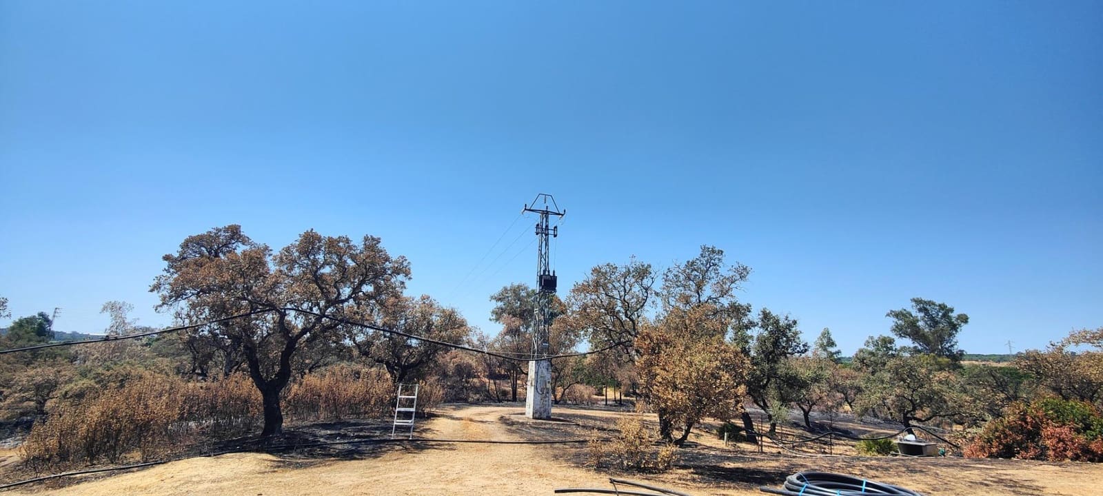 Finca/Casa Rural de 3 habitaciones en San Bartolomé de la Torre en venta - 200.000 € (Ref: 9185535)