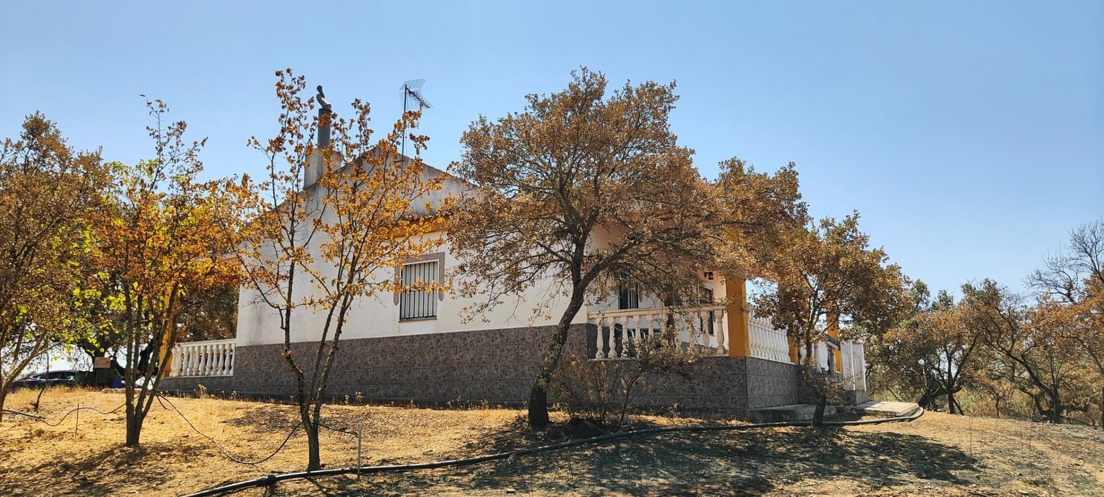 Finca/Casa Rural de 3 habitaciones en San Bartolomé de la Torre en venta - 200.000 € (Ref: 9185535)