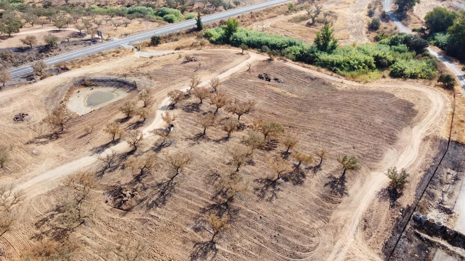 Finca/Casa Rural de 3 habitaciones en San Bartolomé de la Torre en venta - 200.000 € (Ref: 9185535)