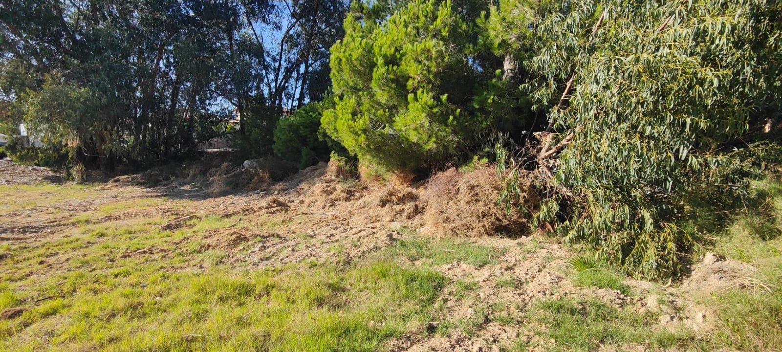 Building Plot for sale in Lepe - € 65,000 (Ref: 9202525)