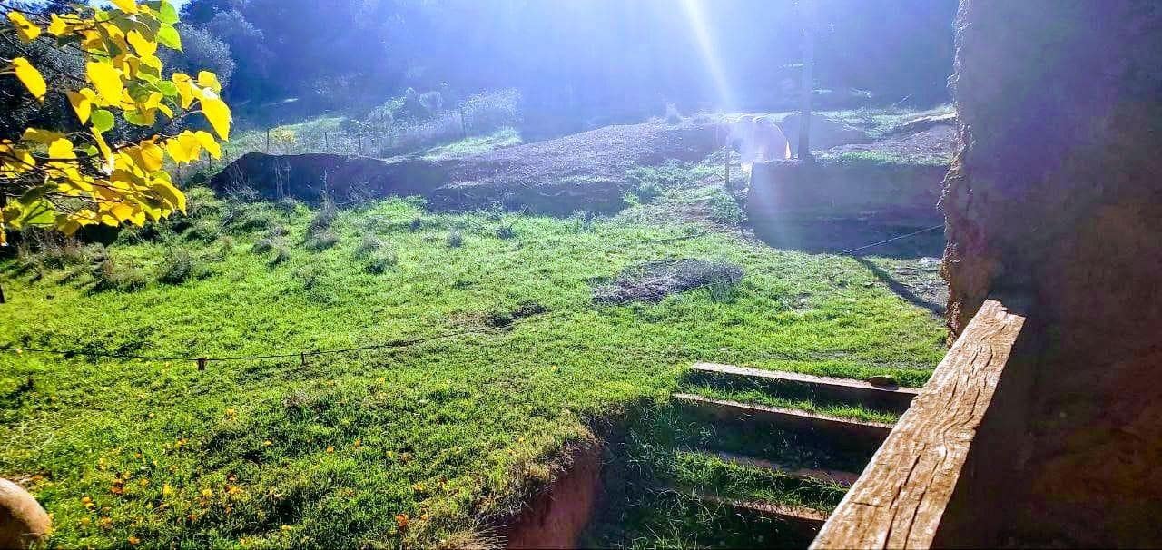 6 soveværelse Finca/Landehus til salg i San Nicolas del Puerto - € 315.000 (Ref: 9367684)