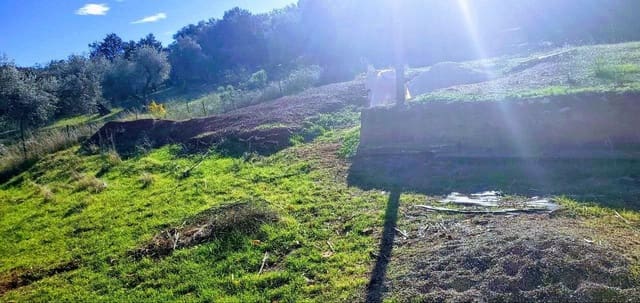 6 soveværelse Finca/Landehus til salg i San Nicolás del Puerto - € 315.000 (Ref: 9367684)