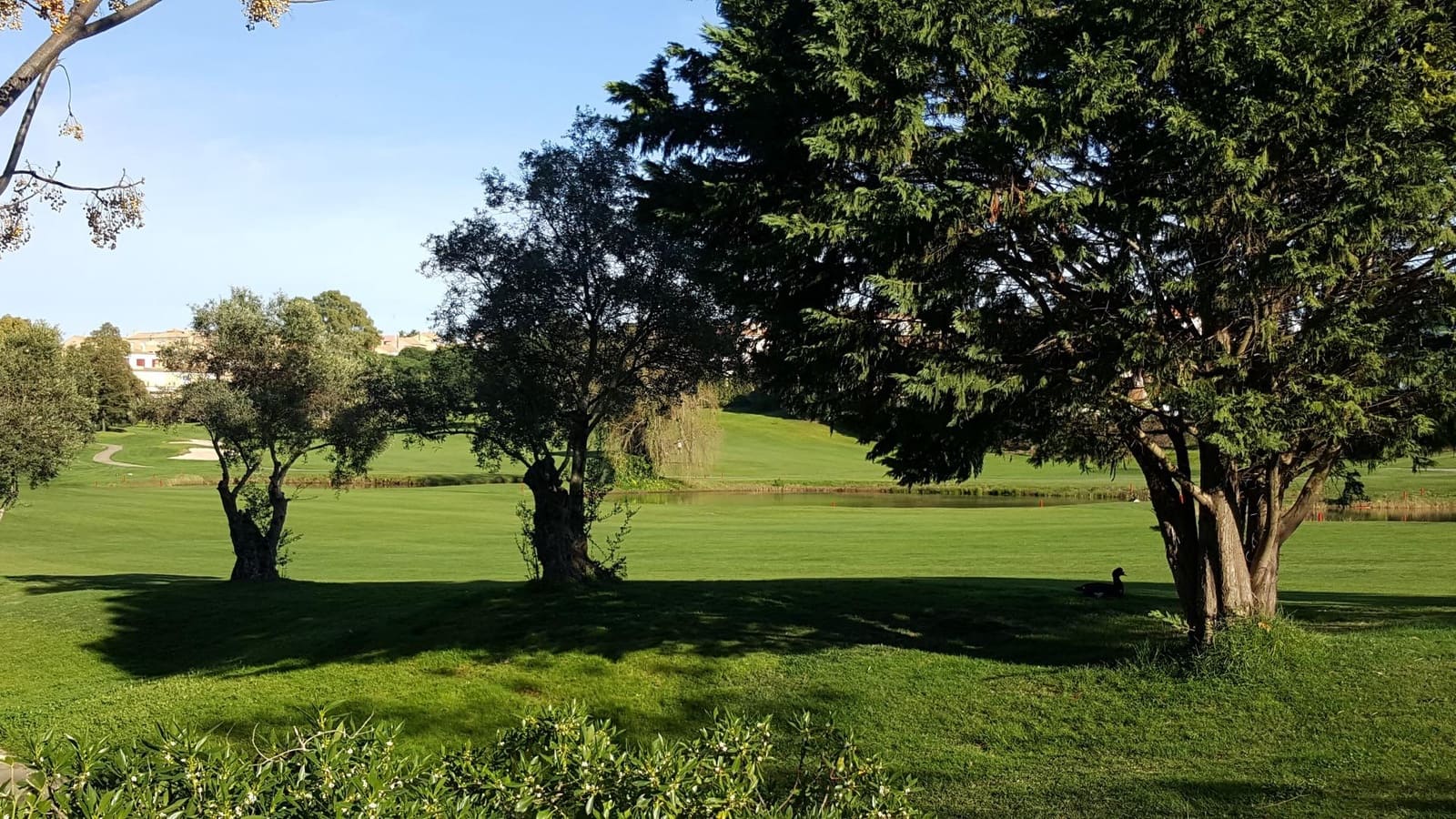 2 bedroom Apartment for sale in Lepe with pool garage - € 192,500 (Ref: 9374387)